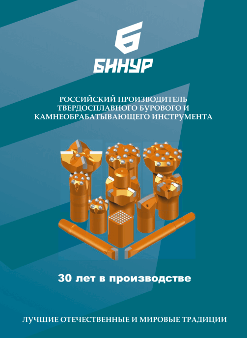 Бинур: проспект с описанием деятельности к 30-летнему юбилею