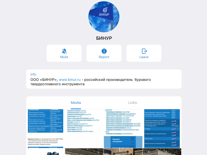 Telegram-канал Бинур